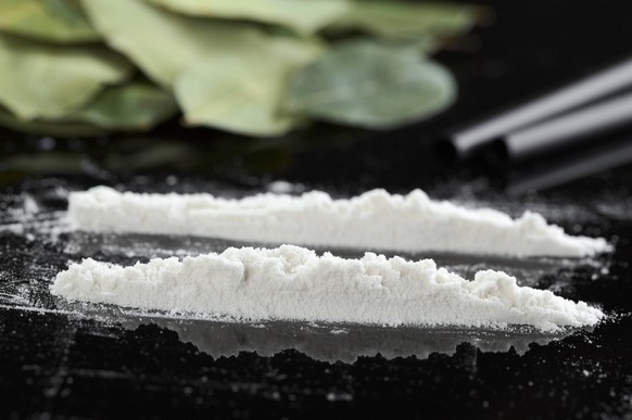 Cocaine powder substituted by flour in lines ready for insufflating photographed on black with dried coca leaves in the back Selective Focus, Focus on the front of the first cocaine line , 4066828.jpg ...