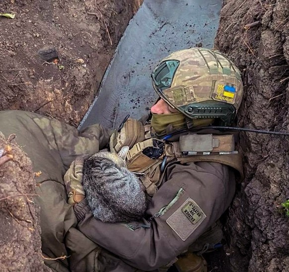 HANDOUT - 05.03.2024, Ukraine, ---: Das ukrainische Verteidigungsministerium veröffentlicht das Foto eines ukrainischen Soldaten, der eine Katze in einem Schützengraben an einem ungenannten Ort hält.  ...