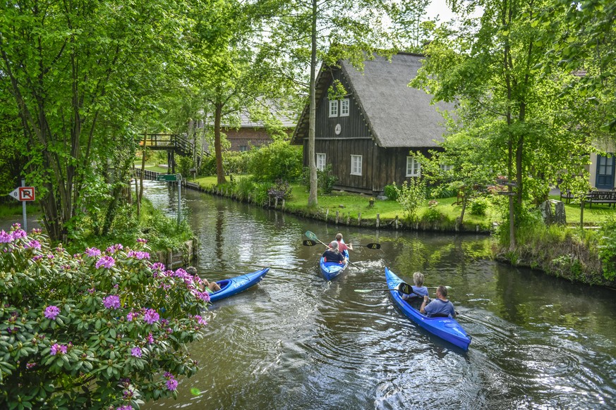 Die vielen Wasserwege sind charakteristisch für die Spreewald-Landschaft.