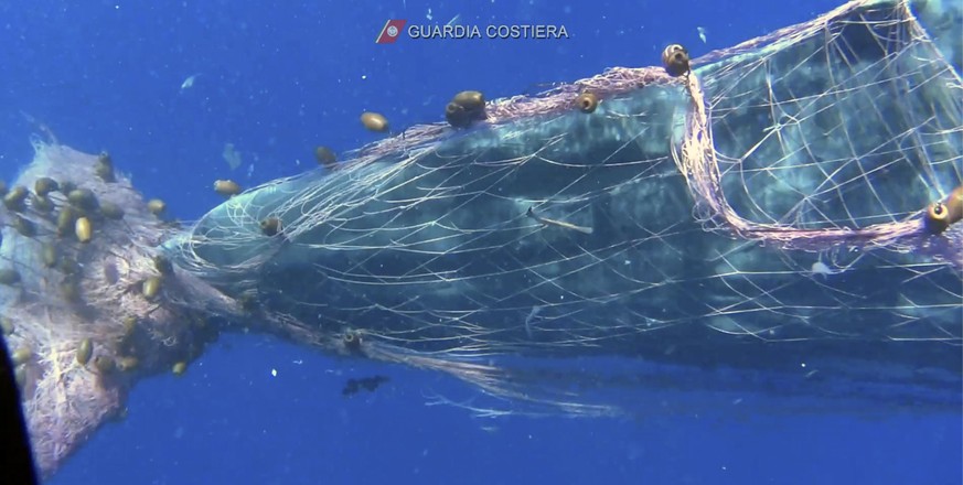 HANDOUT - 19.07.2020, Italien, ---: Ein Wal hat sich in einem Fischernetz in der Nähe der Liparischen Inseln im Mittelmeer verheddert (Videostandbild). Taucher der italienischen Küstenwache (Guardia C ...