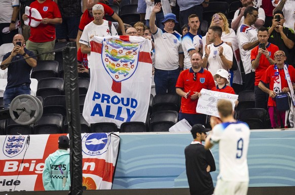 "Proud Ally", stolzer Verbündeter, steht auf einer Flagge mit drei regenbogenfarbenen Löwen.