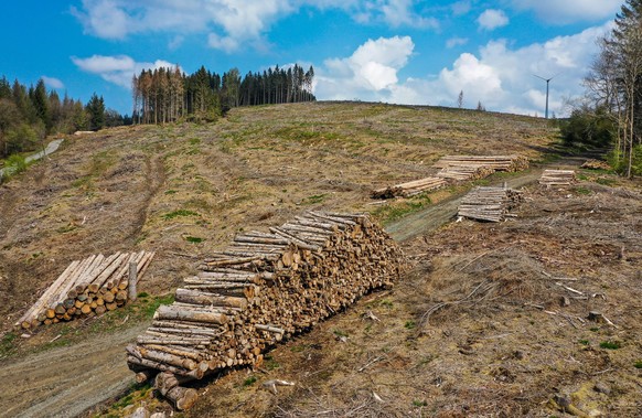 27.04.2022, Hilchenbach, Nordrhein-Westfalen, Deutschland - Waldsterben im Kreis Siegen-Wittgenstein im Sauerland, Trockenheit und Borkenkaefer schaedigen die Fichtenbaeume im Nadelwald. Tote Fichtenf ...