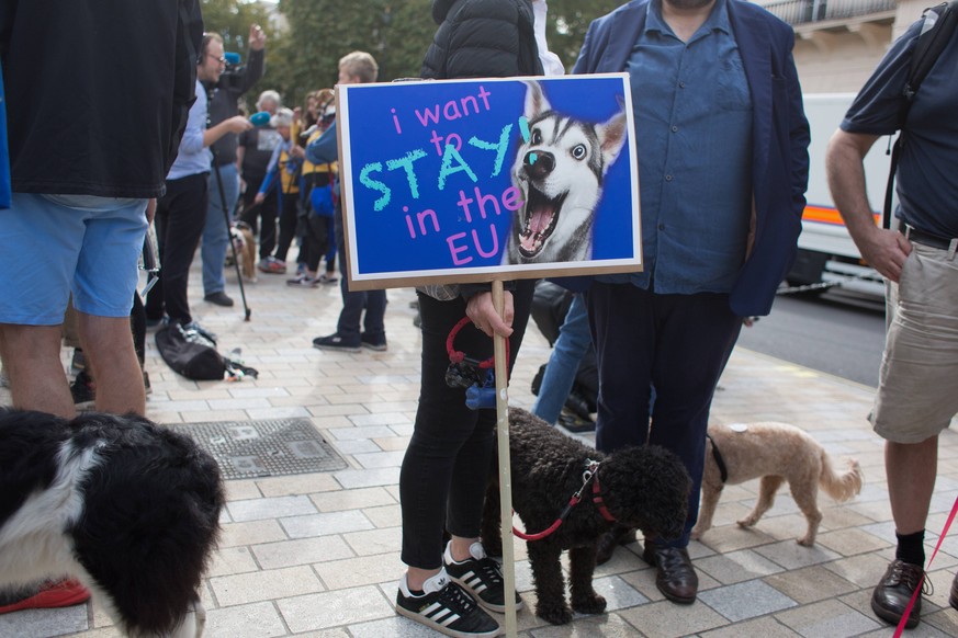 October 7, 2018 - London, England - Wooferendum dog march: Dogs against Brexit march to Westminster in London London England PUBLICATIONxINxGERxSUIxAUTxONLY - ZUMAw133 20181007_zap_w133_014 Copyright: ...