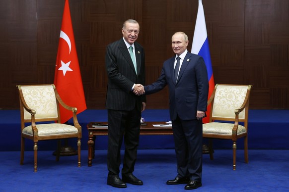 Zwei Freunde: Erdoğan und der russische Präsident Wladimir Putin.