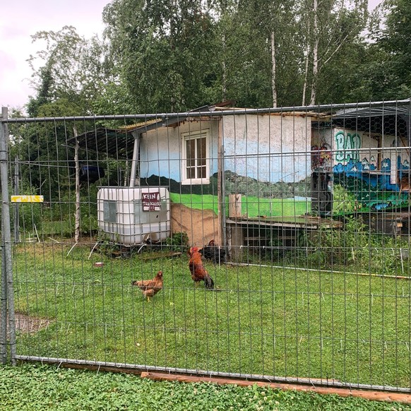 In der "Alten Spitzenfabrik" im sächsischen Grimma kommen Tiere und Jugendliche zusammen.