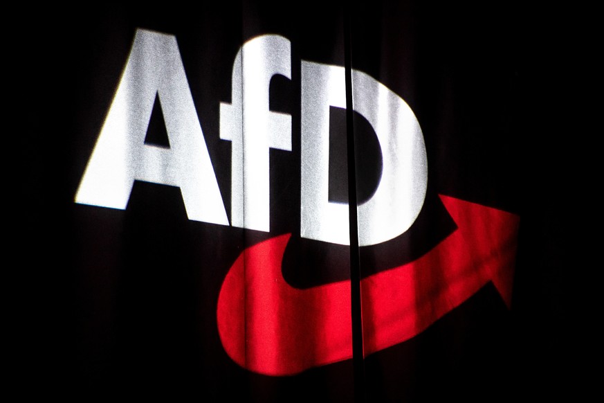 Am Wochenende findet der Parteitag der AfD statt.