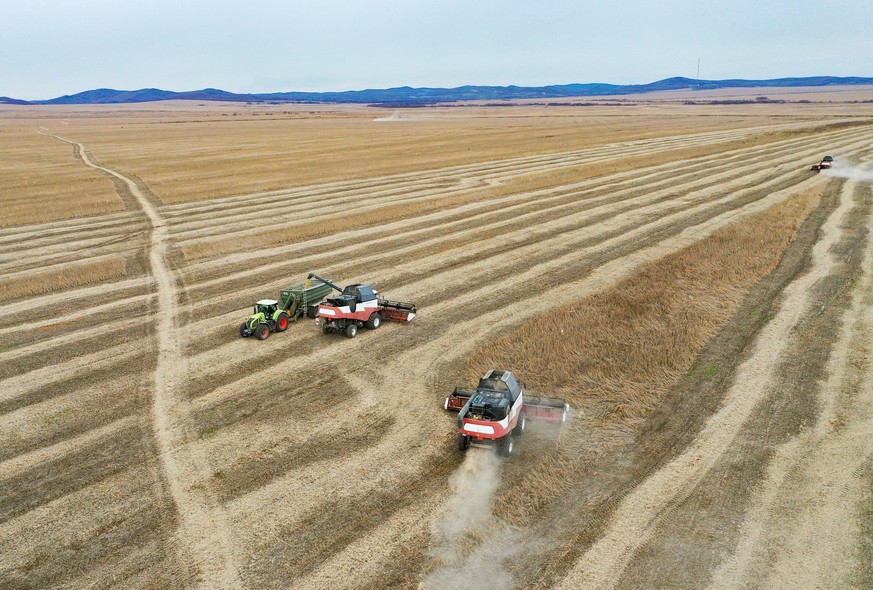 PRIMORYE TERRITORY, RUSSIA - OCTOBER 20, 2021: Harvesting soybeans in a field of the Primagro agricultural enterprise, subsidiary of the Rusagro Group of Companies. Yuri Smityuk/TASS