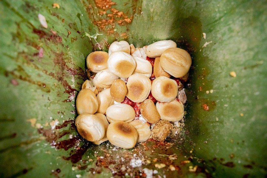 ARCHIV - 15.05.2019, Berlin: Brötchen und andere Lebensmittelabfälle sind in einer Tonne zu sehen. (zu dpa «Lauinger: Legalisierung von «Containern» löst Problem nicht») Foto: Christoph Soeder/dpa +++ ...