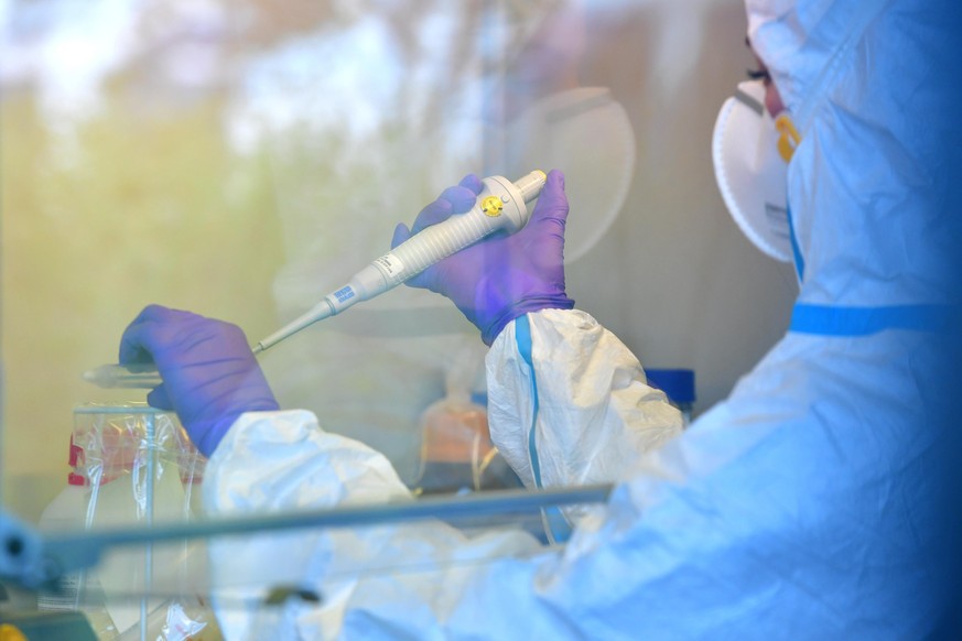 DETMOLD, GERMANY - MAY 15: Lab technician analyse swab samples for possible Covid-19 infection at the Chemical and Veterinary Analysis Office of East Westphalia-Lippe (CVUA-OWL) on May 15, 2020 in Det ...