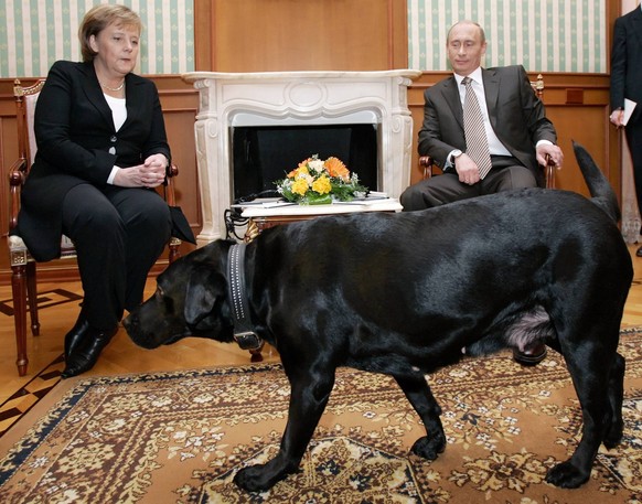 ITAR-TASS 85: SOCHI, RUSSIA. JANUARY 21. President of Russia Vladimir Putin R and German Chancellor Angela Merkel hold a working meeting at Bocharov Ruchei presidential residence near the Black Sea re ...