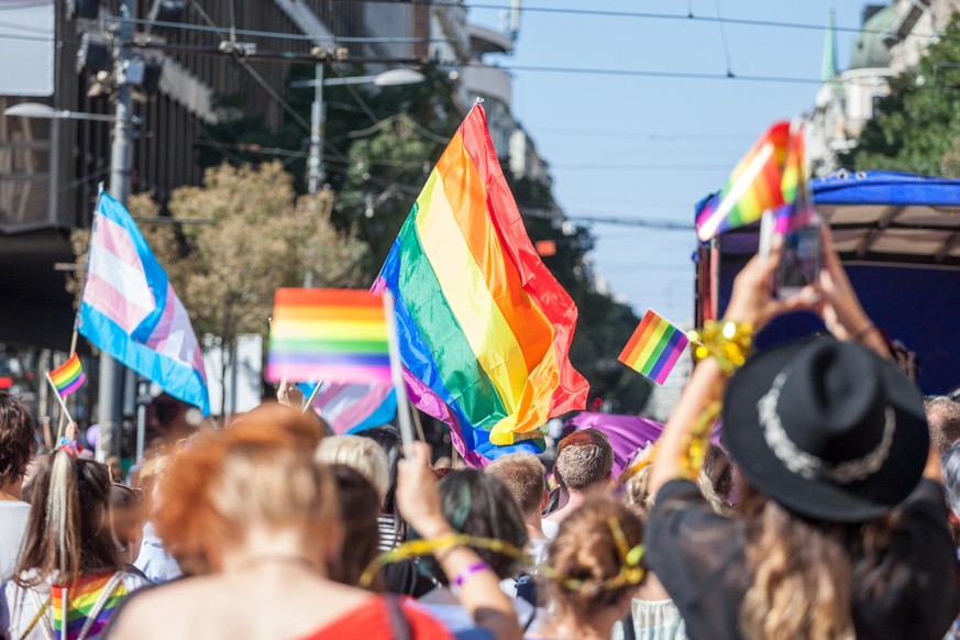 Picture of a crowd of people holding and raising rainbow flags, symbol of the homosexual struggle, during a gay demonstration. The rainbow flag, commonly known as the gay pride flag or LGBT pride flag ...