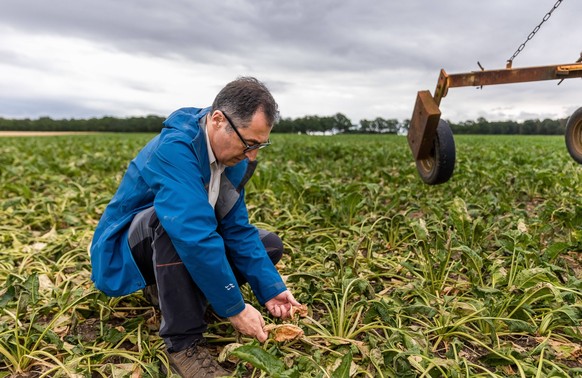 Bundesminister fuer Ernaehrung und Landwirtschaft Cem Oezdemir begutachtet Pflanzen auf einem Ruebenfeld in Uetze, 21.07.2022. Uetze Deutschland *** Federal Minister of Food and Agriculture Cem Oezdem ...