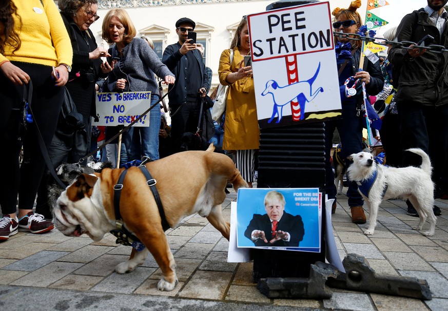 Anti-Brexit protesters and their dogs join a march called 'Wooferendum&quot;, in London, Britain October 7, 2018. REUTERS/Henry Nicholls