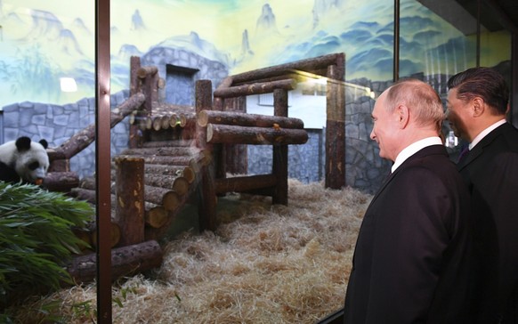 ARCHIV - 05.06.2019, Russland, Moskau: Wladimir Putin (l), Pr�sident von Russland, und Xi Jinping, Pr�sident von China, schauen sich bei der Er�ffnung des Panda-Pavillons im Moskauer Zoo einen Panda a ...