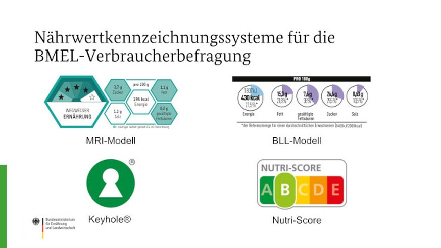 Diese Modelle gehen in die Verbraucherumfrage.