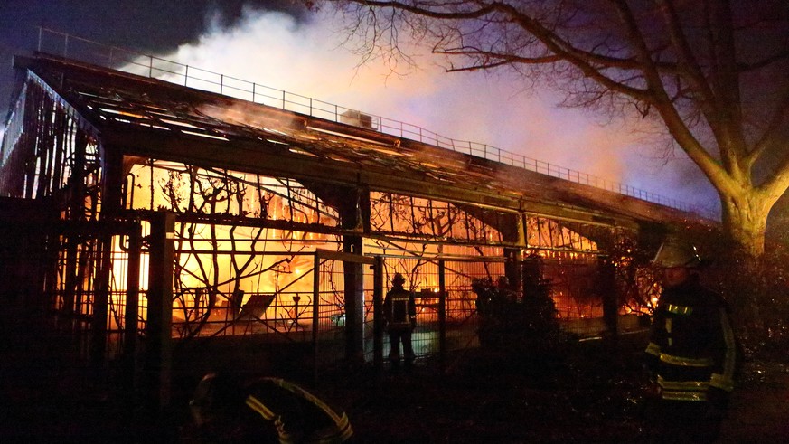 Das brennende Affenhaus in Krefeld in der Silversternacht.