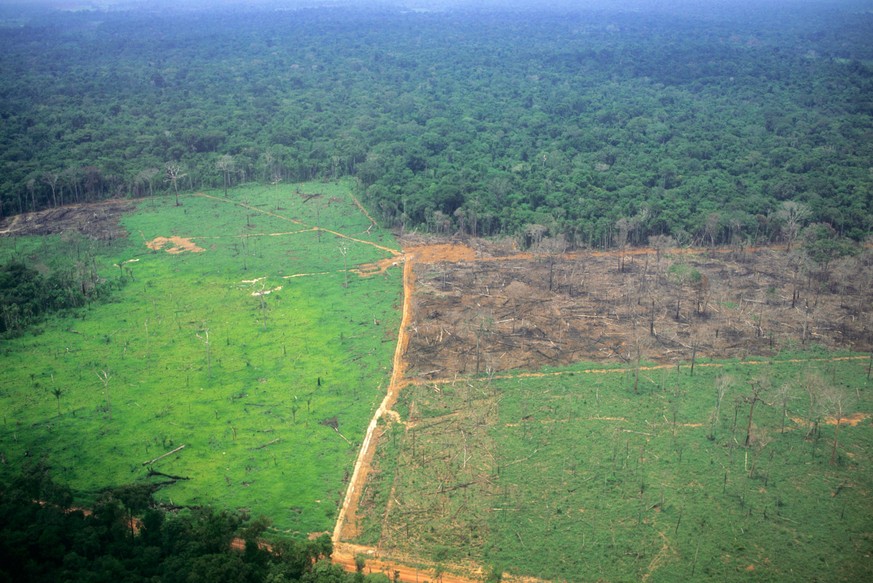 Amazon Brazil Aerial view of partly deforested land showing established grassland newly burned land and rainforest PUBLICATIONxINxGERxSUIxAUTxONLY Copyright: xSuexCunningham/SCP 1017102.tif