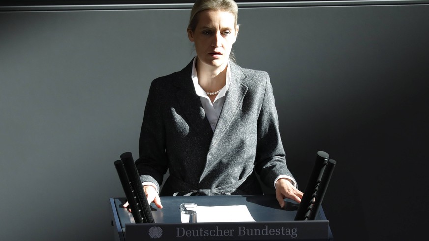 Seit fast einem Jahr sitzt die AfD von Parteichefin Alice Weidel im Bundestag.