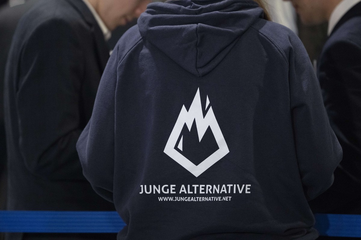 ARCHIV - 12.01.2025, Sachsen, Riesa: Eine Teilnehmerin des AfD-Bundesparteitags trägt einen Pullover mit dem Logo der AfD-Jugendorganisation «Junge Alternative» (JA). (zu dpa: «AfD gründet neue Jugend ...