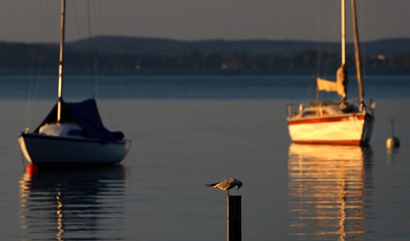 Diese Boote sind in Bayern willkommen, wie hier am Ammersee.