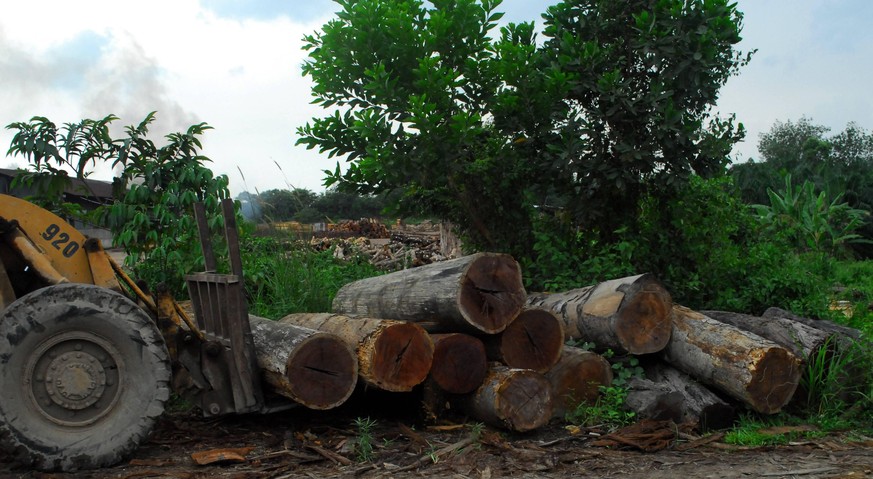 Bildnummer: 58673297 Datum: 06.11.2012 Copyright: imago/HBLnetwork
Kalimantan (Borneo), Indonesia - deforestation in Indonesia continues despite the moratorium signed one year ago. Deforestation in K ...