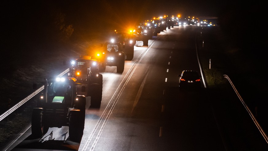 Landwirte fahren mit ihren Traktoren auf der Bundesstraße 4 bei Uelzen in Richtung Hannover zu einer Protestaktion (Archivbild).