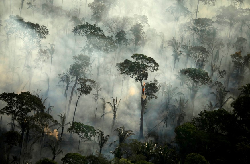 Der Amazonas-Regenwald ist eine der größten Treibhausgas-Absorbierer der Welt.