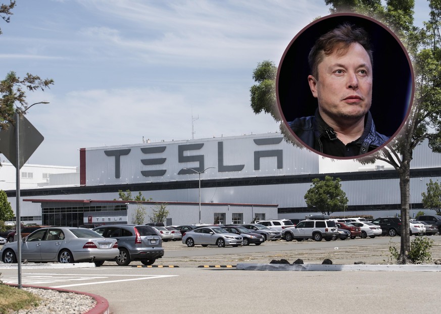 Eine Fabrik in Fremont, Kalifornien von Tesla-Chef Elon Musk (rundes Bild). 