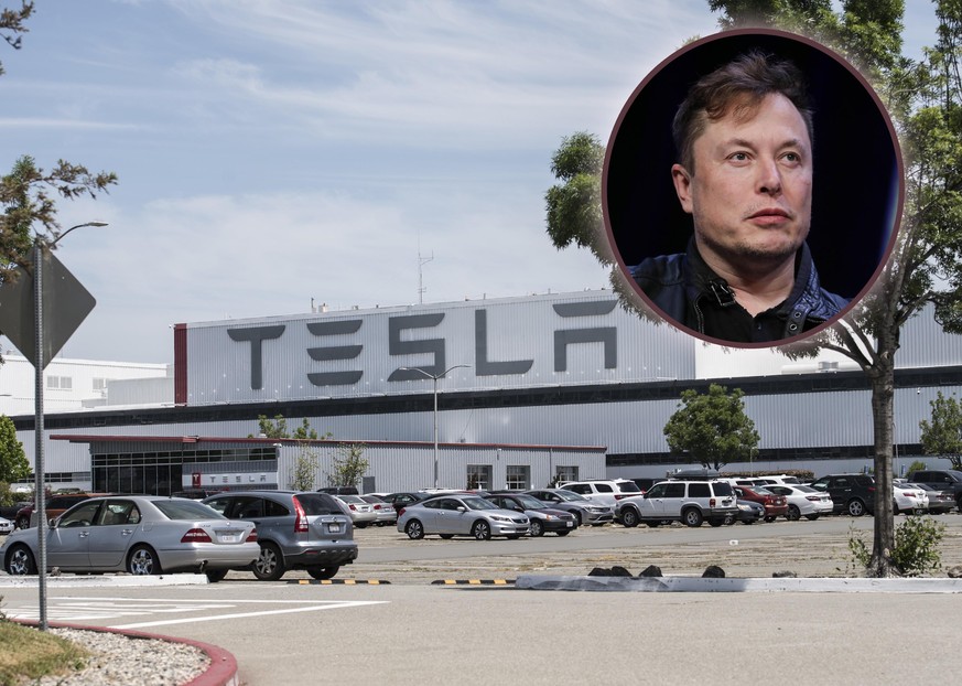 Eine Fabrik in Fremont, Kalifornien von Tesla-Chef Elon Musk (rundes Bild).