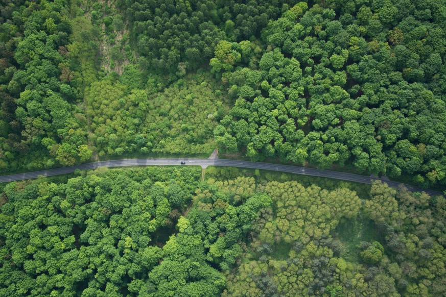 Aerial photo of a forest in Brandenburg county, Germany, middle of May.