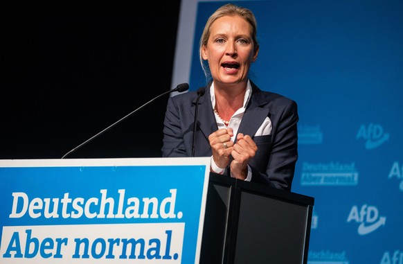 Alice Weidel, Landesvorsitzende der AfD Baden-Württemberg und Spitzenkandidatin für die Bundestagswahl 2021, spricht beim Landesparteitag der AfD Baden-Württemberg in einer Halle der Messe zu Parteimi ...