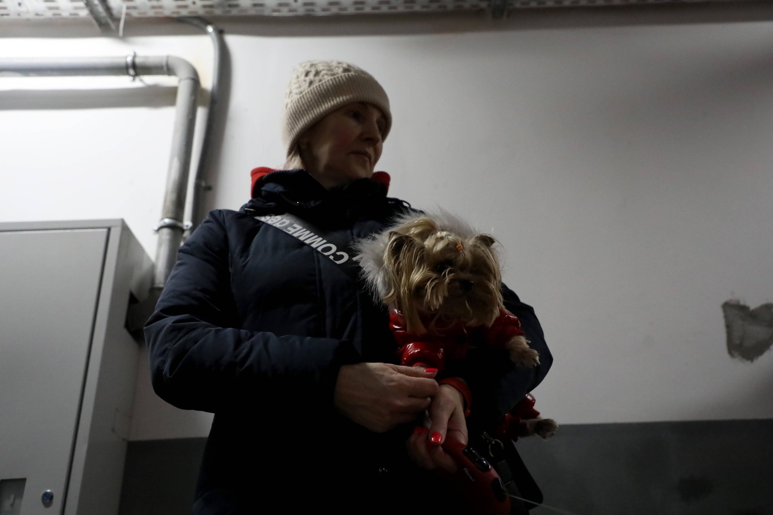KYIV, UKRAINE - FEBRUARY 25, 2022 - A woman holds a dog in the basement of a residential tower block that doubles as a shelter on the second day of the Russian invasion, Kyiv, capital of Ukraine. Shel ...