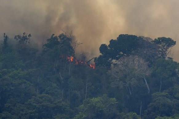 Fire consumes the jungle near Porto Velho, Brazil, Friday, Aug. 23, 2019. Brazilian state experts have reported a record of nearly 77,000 wildfires across the country so far this year, up 85% over the ...