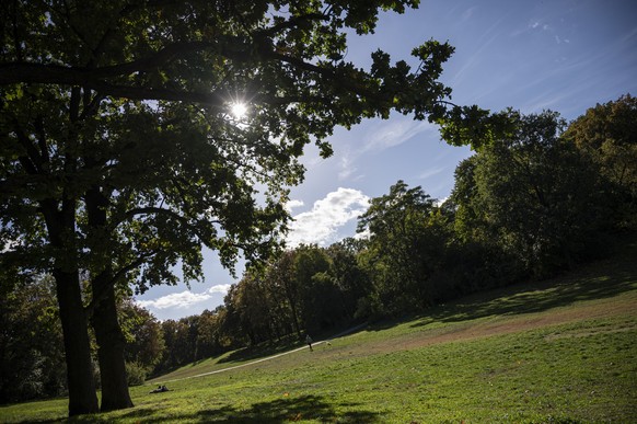 06.10.2022, Berlin: Die Sonne strahlt auf die Hasenheide. In den letzten drei Jahren mussten fast 10 Prozent der B�ume in der Hasenheide vorzeitig gef�llt werden. Foto: Fabian Sommer/dpa +++ dpa-Bildf ...