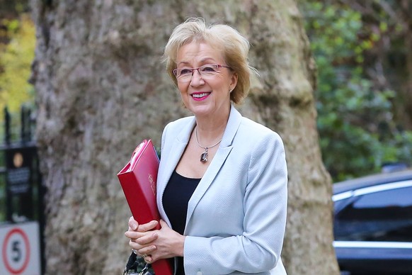 May 22, 2019 - London, UK, United Kingdom - Andrea Leadsom seen at Downing Street..Andrea Leadsom has resigned as the Leader of the House of Commons, saying that she cannot support the Theresa May s B ...