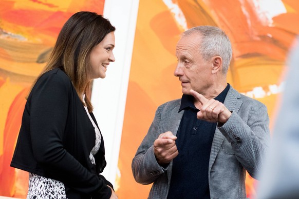 Peter Pilz soll 2013 eine Frau unsittlich berührt haben. 
