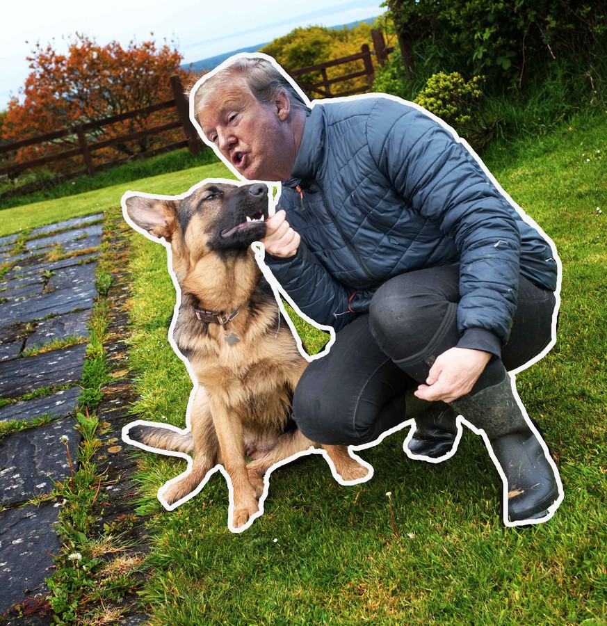 Sporty Senior woman portrait outdoors training and having fun with a young German Shepherd Dog (7 months old)