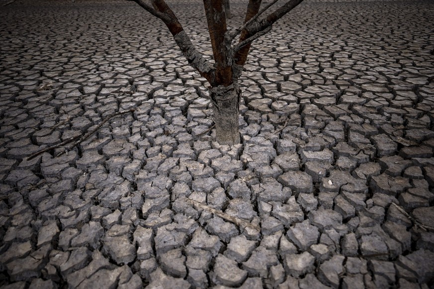 18.04.2023, Spanien, Vilanova de Sau: Rissige Erde ist, nachdem der Wasserstand im Sau-Stausee, etwa 100 km nördlich von Barcelona, gesunken ist, zu sehen. Der spanische Ministerpräsident Sanchez warn ...