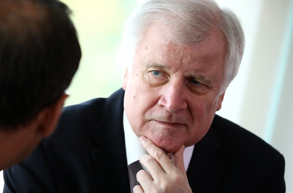 German Interior Minister Horst Seehofer before the weekly cabinet meeting at the Chancellery in Berlin, Germany, June 27, 2018. REUTERS/Hannibal Hanschke