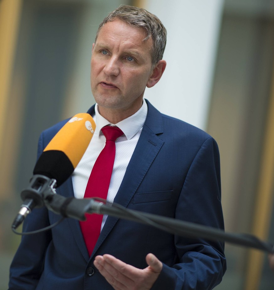 Björn Höcke spricht in ein Mikrofon des ZDF. 