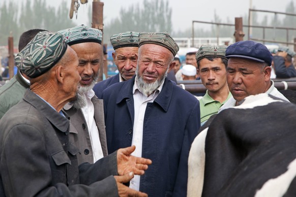 Uigurische Bauern auf einem Viehmarkt in&nbsp;Kashgar / Kashi, Xinjiang