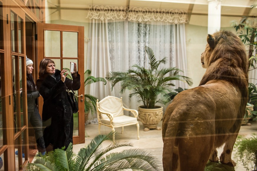 Janukowitschs ehemaliges Anwesen ist heute ein Museum. Inklusive Privatzoo und ausgestopftem Löwen.