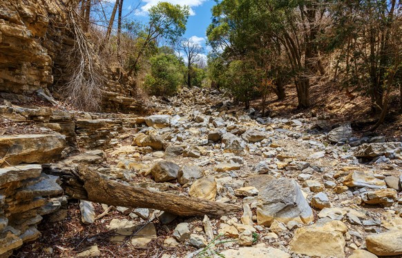 dry stone riverbed, Ankarana Madagascar, Africa