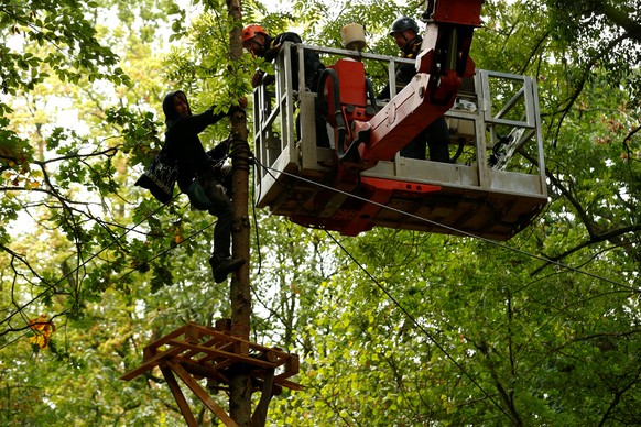 Police talk to an activist in a tree as they try to clear the area at the &quot;Hambacher Forst&quot; in Hambach near Cologne, Germany, September 5, 2018, where protesters have built a camp with tents ...
