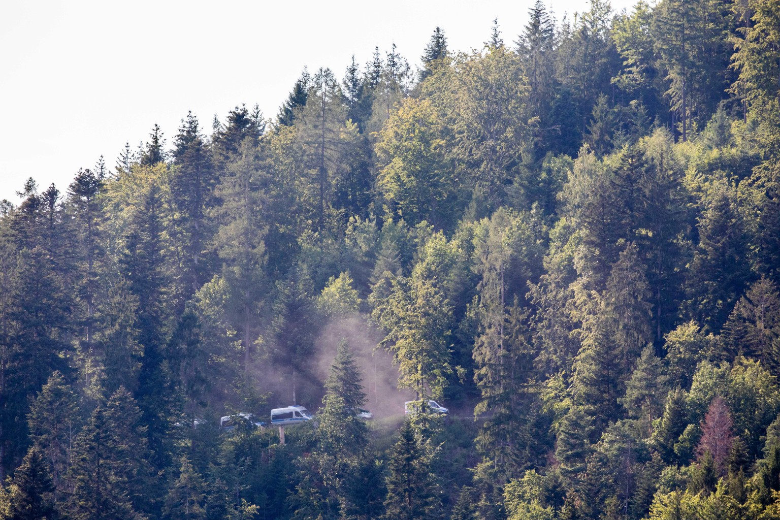 13.07.2020, Baden-Württemberg, Oppenau: Fahrzeuge der Polizei fahren durch den Wald in der Nähe von Oppenau. Mit einem Großaufgebot hat die Polizei am Montag die Suche nach einem 31-Jährigen fortgeset ...