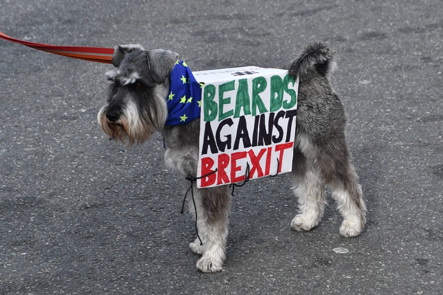 The London (and UK) Dogs Wooferendum March to Parliament, London. OCTOBER 7th 2018 PUBLICATIONxINxGERxSUIxAUTxHUNxONLY SLIx183549
