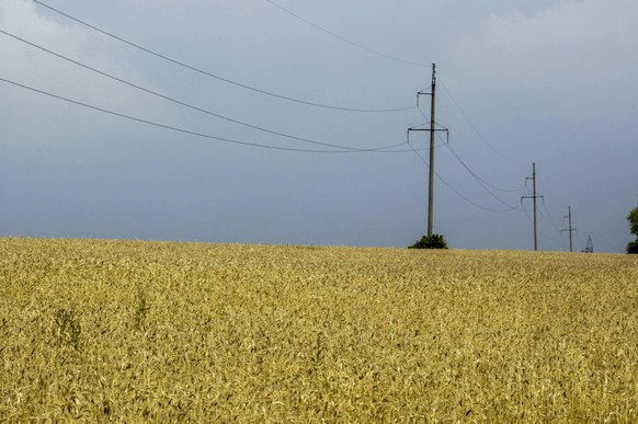 Die enormen ukrainischen Getreideerträge können das Land wegen des Krieges aktuell kaum verlassen. 