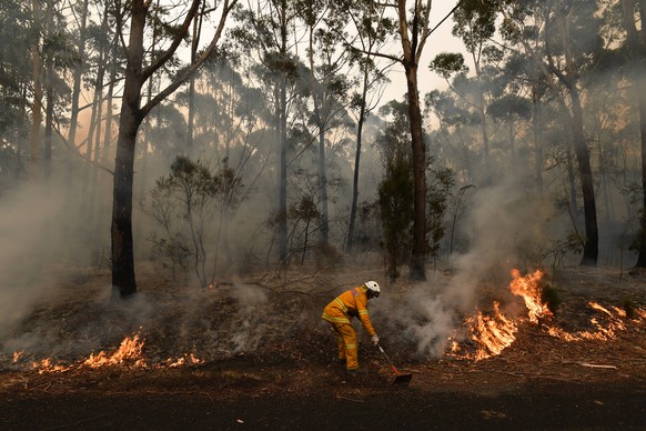 BUSHFIRES NSW, Rural Fire Service volunteers RFS and Fire and Rescue NSW officers FRNSW contain a small bushfire which closed the Princes Highway south of Ulladulla, Sunday, January 5, 2020. Fire crew ...