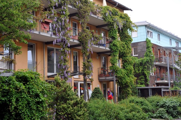 Grünes Idyll: Das Quartier Vauban in Freiburg. Auf dem ehemaligen Kasernengelände wuchs nach Abzug der französischen Truppen eine grüne Mustersiedlung.