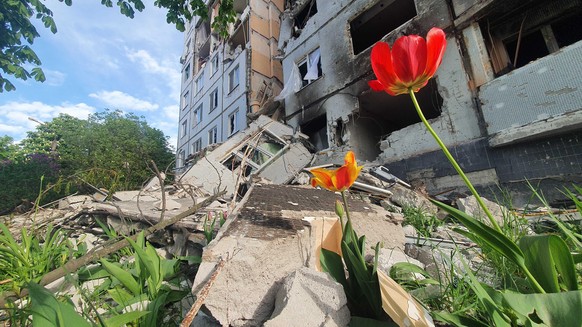 Ein Hauch von Frühling in Charkiw. Das Wohngebiet im Norden der ukrainischen Stadt ist komplett zerstört.
